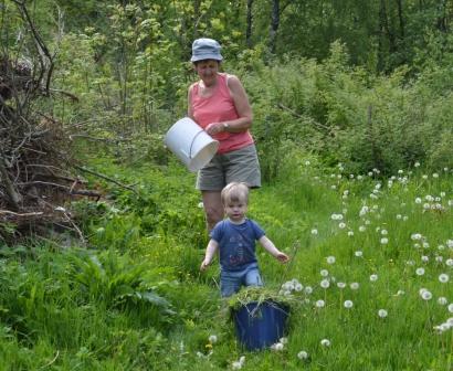 Albin hjälper mormor med ogräs